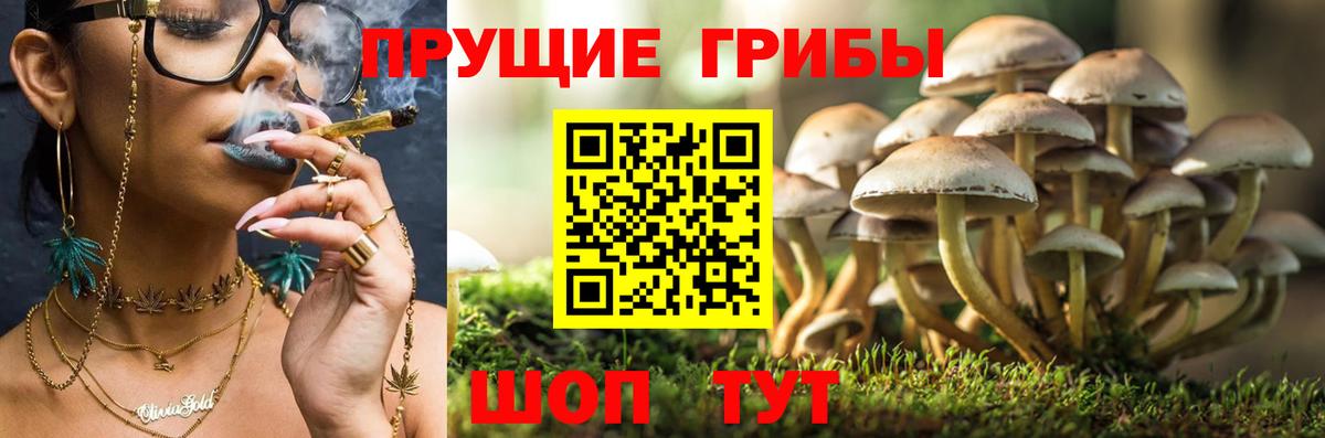Кемерово  Псилоцибиновые грибы мухоморы  Галлюциногенные грибы прущие грибы  Вход с VPN 